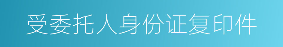 受委托人身份证复印件的同义词