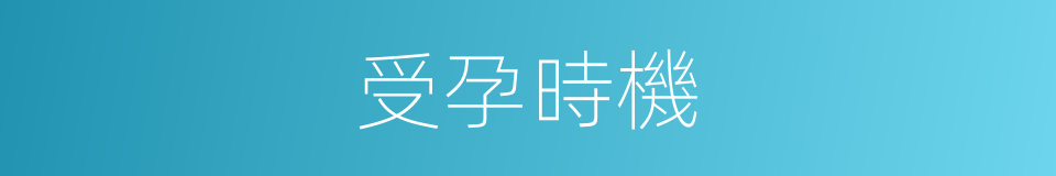 受孕時機的同義詞