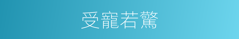 受寵若驚的意思