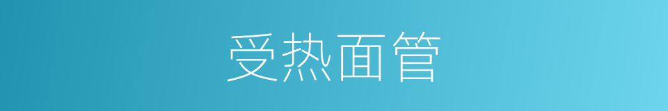 受热面管的同义词