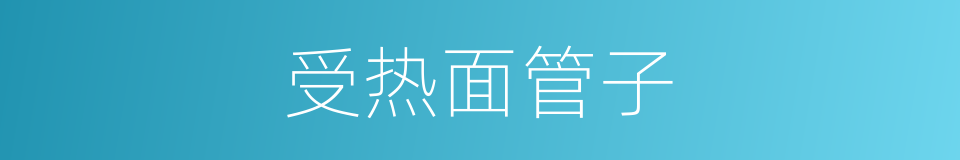 受热面管子的同义词
