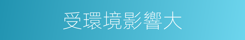 受環境影響大的同義詞