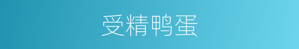受精鸭蛋的意思