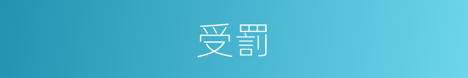 受罰的意思
