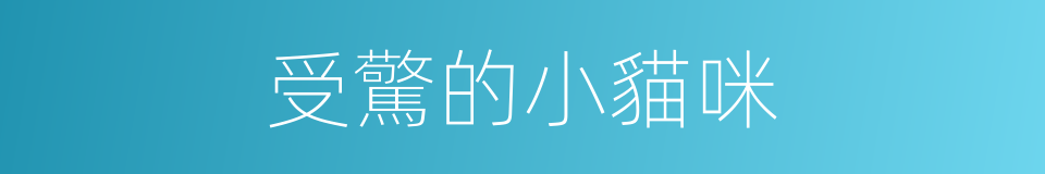 受驚的小貓咪的同義詞