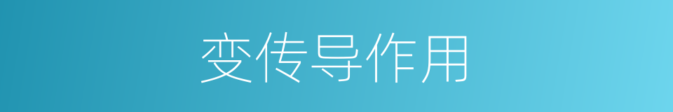 变传导作用的同义词