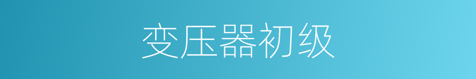 变压器初级的同义词