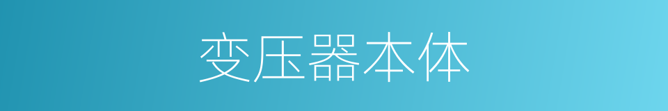 变压器本体的同义词