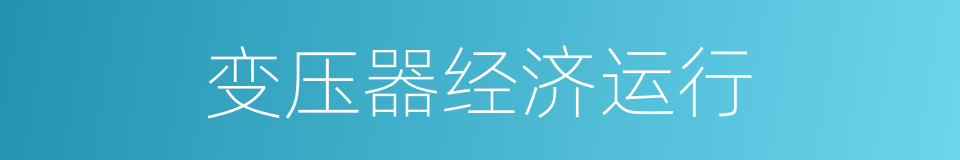 变压器经济运行的同义词