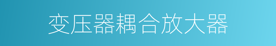 变压器耦合放大器的同义词