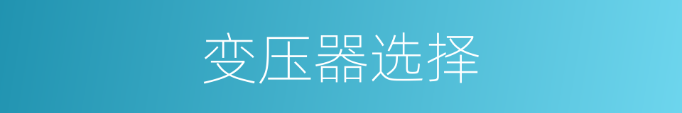 变压器选择的同义词