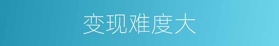 变现难度大的同义词