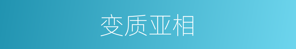 变质亚相的同义词
