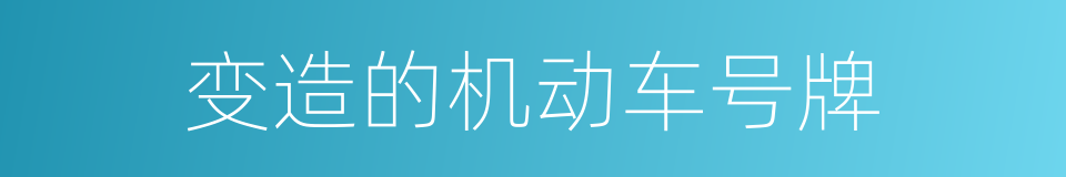 变造的机动车号牌的同义词