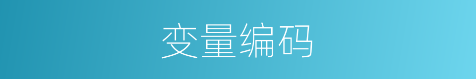 变量编码的同义词