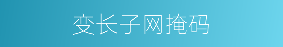 变长子网掩码的同义词