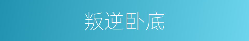叛逆卧底的同义词