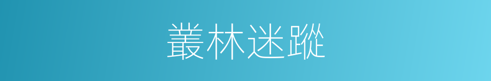 叢林迷蹤的同義詞