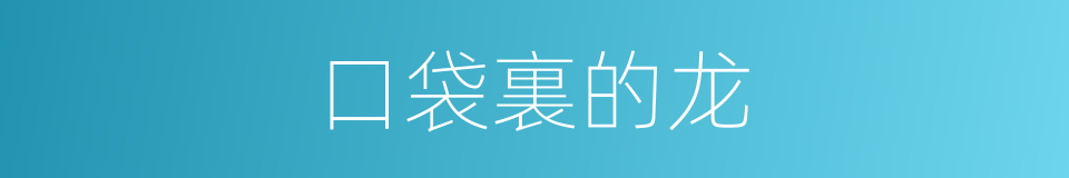 口袋裏的龙的同義詞