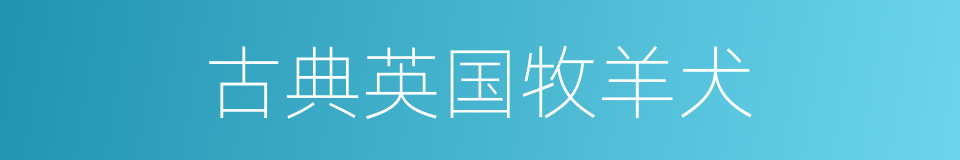 古典英国牧羊犬的同义词