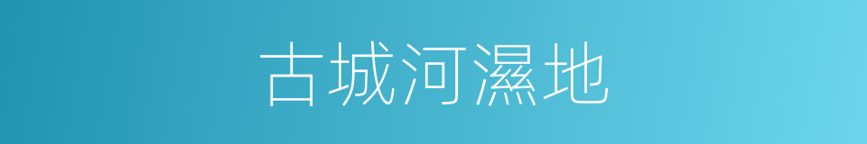 古城河濕地的同義詞