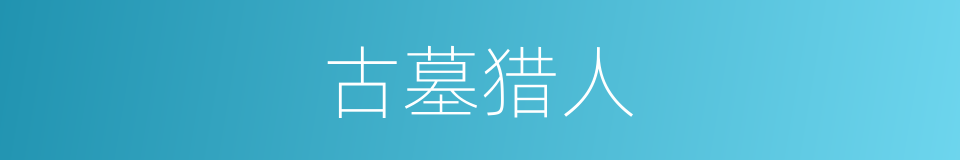 古墓猎人的同义词