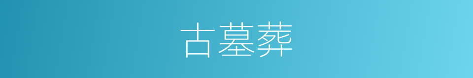 古墓葬的同义词