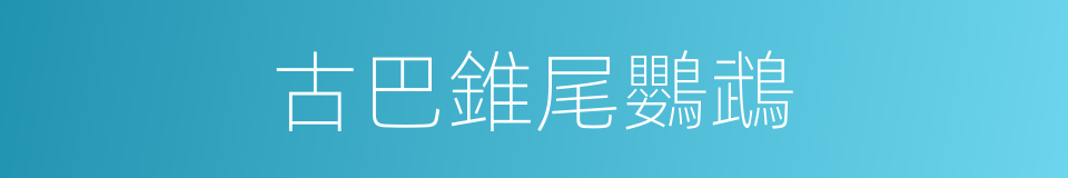 古巴錐尾鸚鵡的同義詞