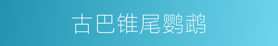 古巴锥尾鹦鹉的同义词