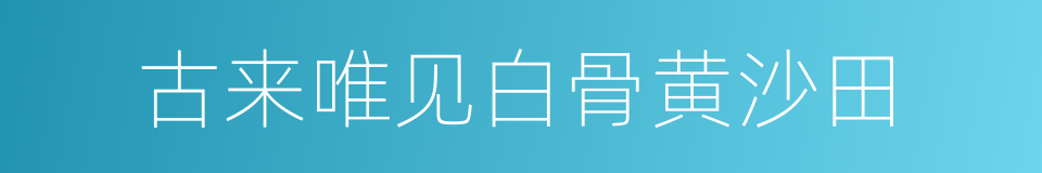 古来唯见白骨黄沙田的同义词