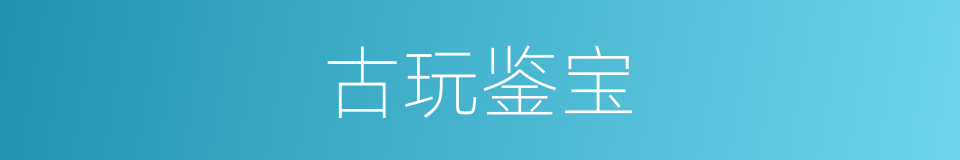 古玩鉴宝的同义词