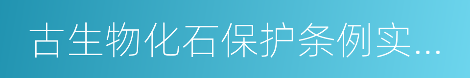 古生物化石保护条例实施办法的同义词