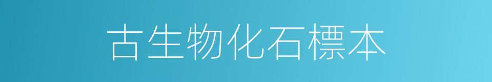 古生物化石標本的同義詞