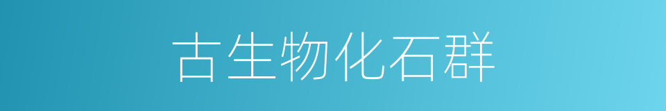 古生物化石群的同义词