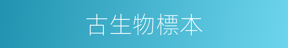 古生物標本的同義詞