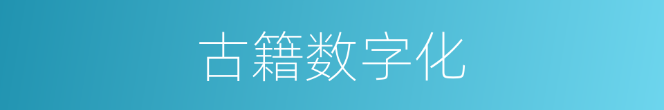 古籍数字化的同义词