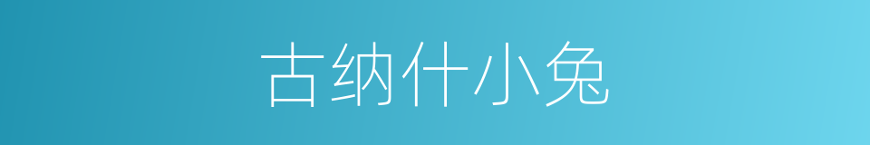 古纳什小兔的同义词