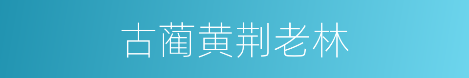 古蔺黄荆老林的同义词