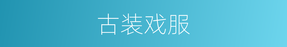 古装戏服的同义词