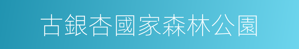 古銀杏國家森林公園的同義詞