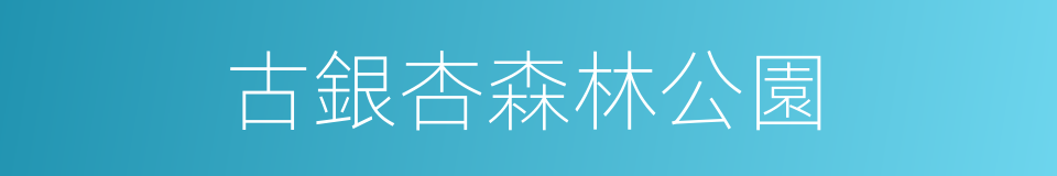 古銀杏森林公園的同義詞