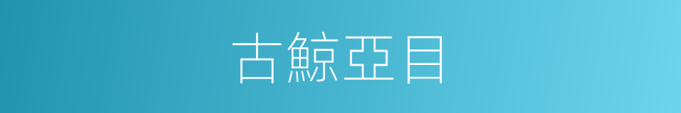 古鯨亞目的同義詞