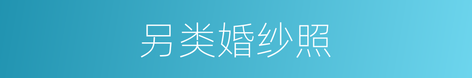 另类婚纱照的同义词