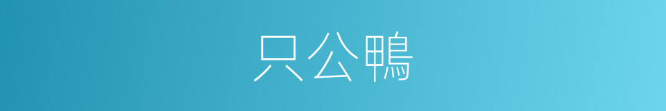 只公鴨的同義詞