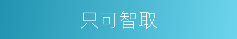 只可智取的同义词