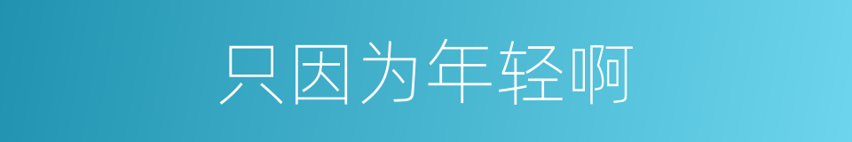 只因为年轻啊的同义词