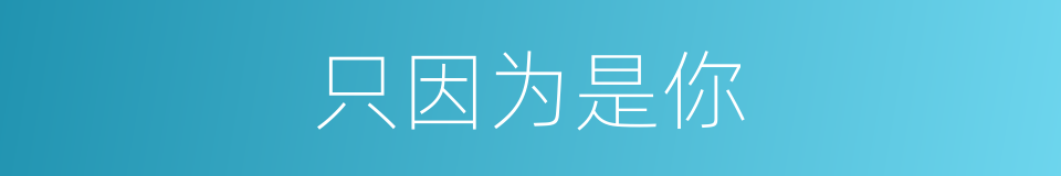 只因为是你的同义词