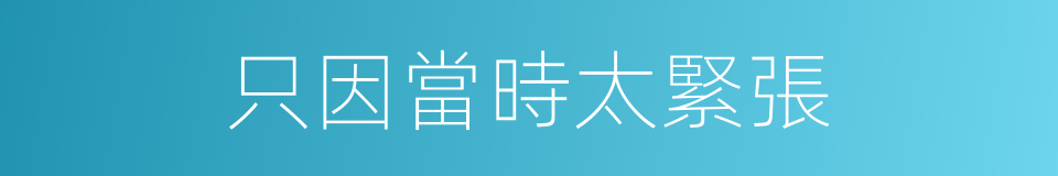 只因當時太緊張的同義詞