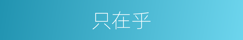 只在乎的同义词