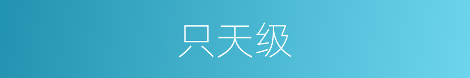 只天级的同义词